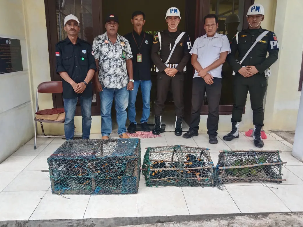 Barang bukti satwa liar. yang diamankan oleh tim gabungan di daerah Galaydubu, Maluku. | Sumber: BKSDA Maluku 