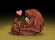 Ibu orangutan akan menjaga anaknya hingga anaknya dewasa. | Ilustrasi oleh H Ilman