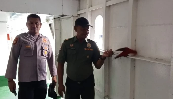 Nuri Maluku Ditemukan Terikat di Dinding KM Cantika 77B