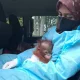 Warga Temukan Bayi Orangutan saat Mencari Ikan
