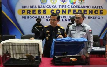Kantor Pelayanan Utama Bea dan Cukai Tipe C Soekarno-Hatta lakukan konferensi pers terkait penanganan penyelundupan satwa. | Sumber: Azmi Samsul Maarif/Antara