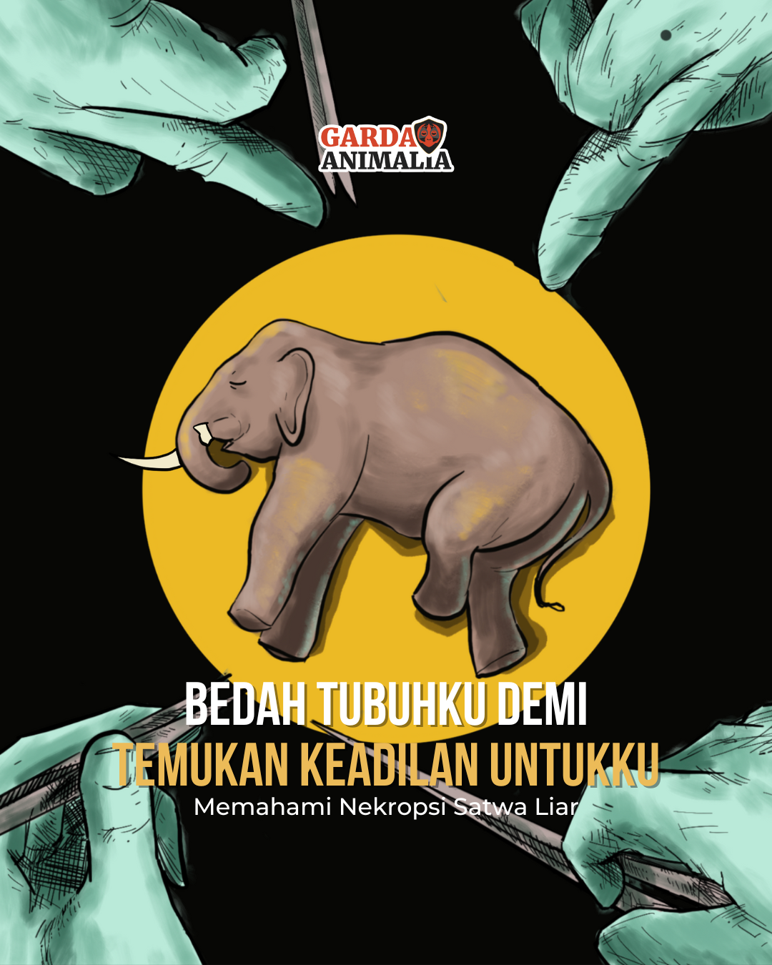 Proses nekropsi untuk mengetahui alasan kematian satwa. | Ilustrasi: H Ilman