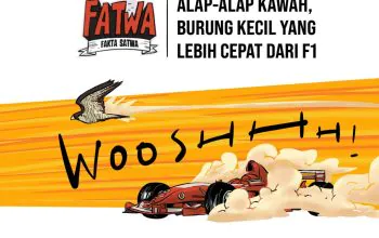 Fakta Satwa (FATWA): Alap-alap kawah (Falco peregrinus) yang lebih cepat daripada mobil balap F1. | Ilustrasi: Hasbi Ilman