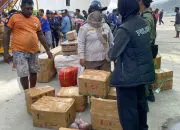 Tak Penuhi Dokumen, 162 Kilogram Daging Rusa Timor Dimusnahkan