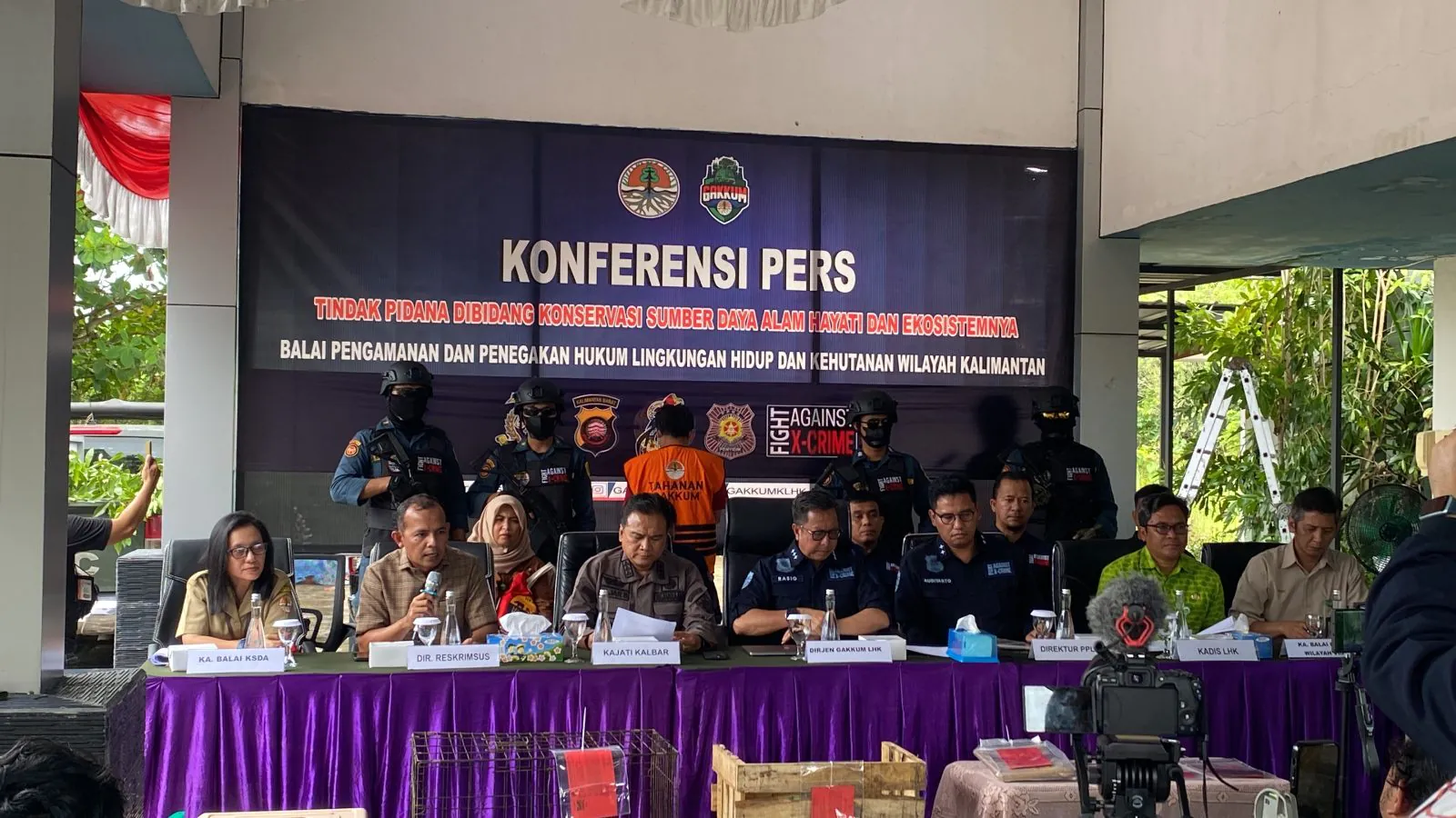 Konferensi pers terkait kasus perdagangan 2 ekor orangutan dan 1 ekor kukang, Kamis (22/8/2024). | Foto: Meizar/Garda Animalia