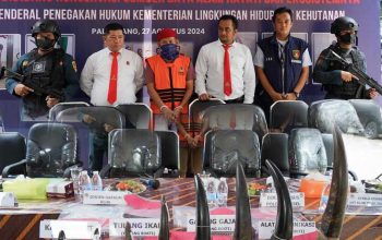 Konferensi pers yang diselenggarakan Gakkum KLHK mengenai terungkapnya ZA sebagai pemilik dan pedagang cula badak, pipa gading gajah, dan pipa dugong. | Foto: Gakkum KLHK