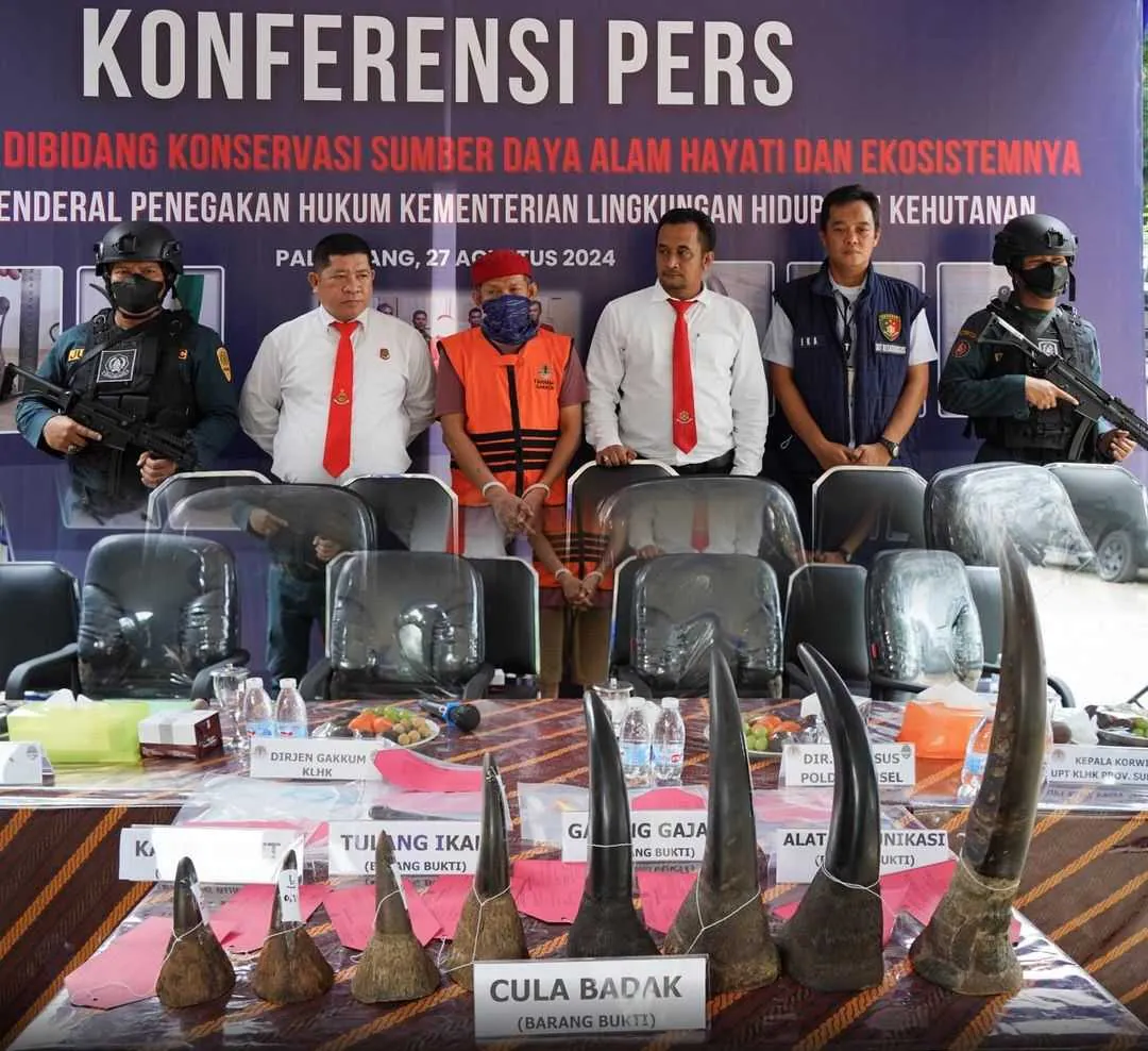 Konferensi pers yang diselenggarakan Gakkum KLHK mengenai terungkapnya ZA sebagai pemilik dan pedagang cula badak, pipa gading gajah, dan pipa dugong. | Foto: Gakkum KLHK