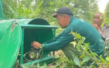 Pemasangan perangkap dalam upaya mengatasi konflik beruang dan warga di Burnia Raya, Kalteng. | Foto: BKSDA Pos Jaga Sampit