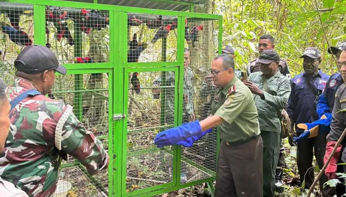 Operasi Gabungan Amankan 80 Satwa Liar, 49 di Antaranya Dilepasliarkan