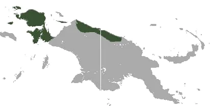 Persebaran geografis Dendrolagus inustus di Pulau Papua. | Sumber: BBKSDA Papua