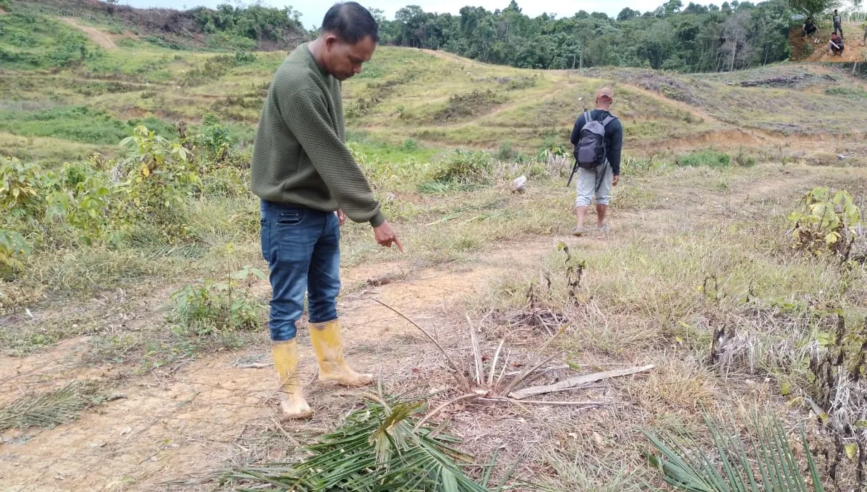 BPBD Aceh Barat Kembali Terima Laporan Kebun Warga Didatangi Gajah Liar