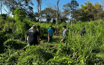 Gajah Gandi Mendadak Ngamuk, Penjaga Satwa Bali Safari Meninggal!