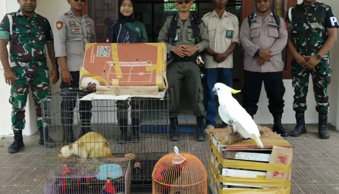 Patroli Dadakan Amankan 32 Satwa Dilindungi di Kaimana