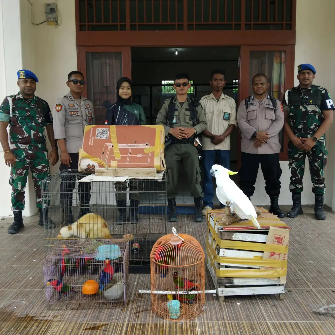 Sejumlah satwa dilindungi yang berhasil diamankan tim gabungan dalam kegiatan patroli. | Foto: Instagram BBKSDA Papua