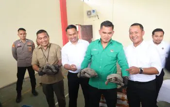 Polda Kepri Gagalkan Penyelundupan Baning Coklat ke Luar Negeri