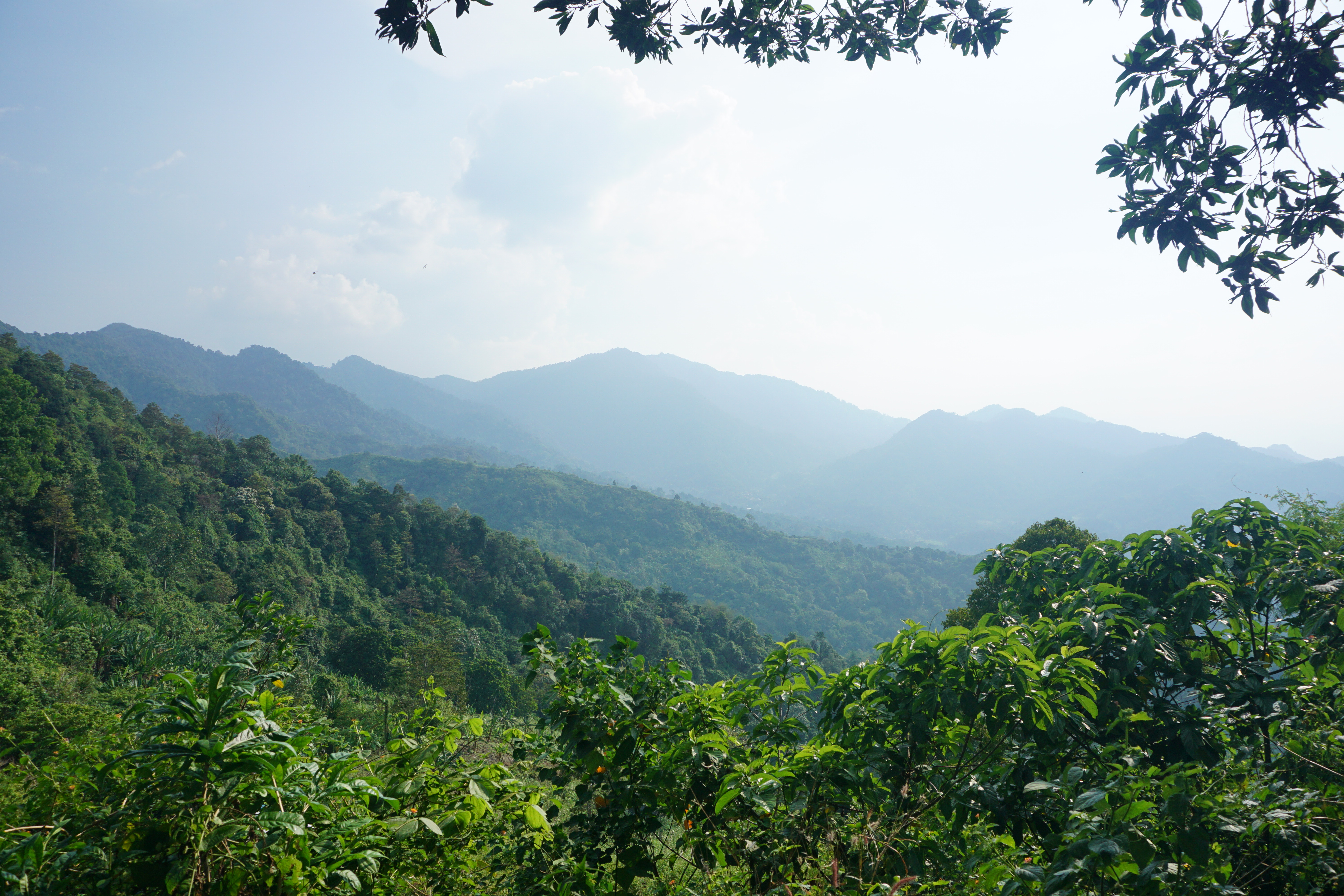 Pemandangan Gunung Sanggabuana, Kabupaten Karawang dari Puncak Sempur. | Foto: Dok. Burung Indonesia.