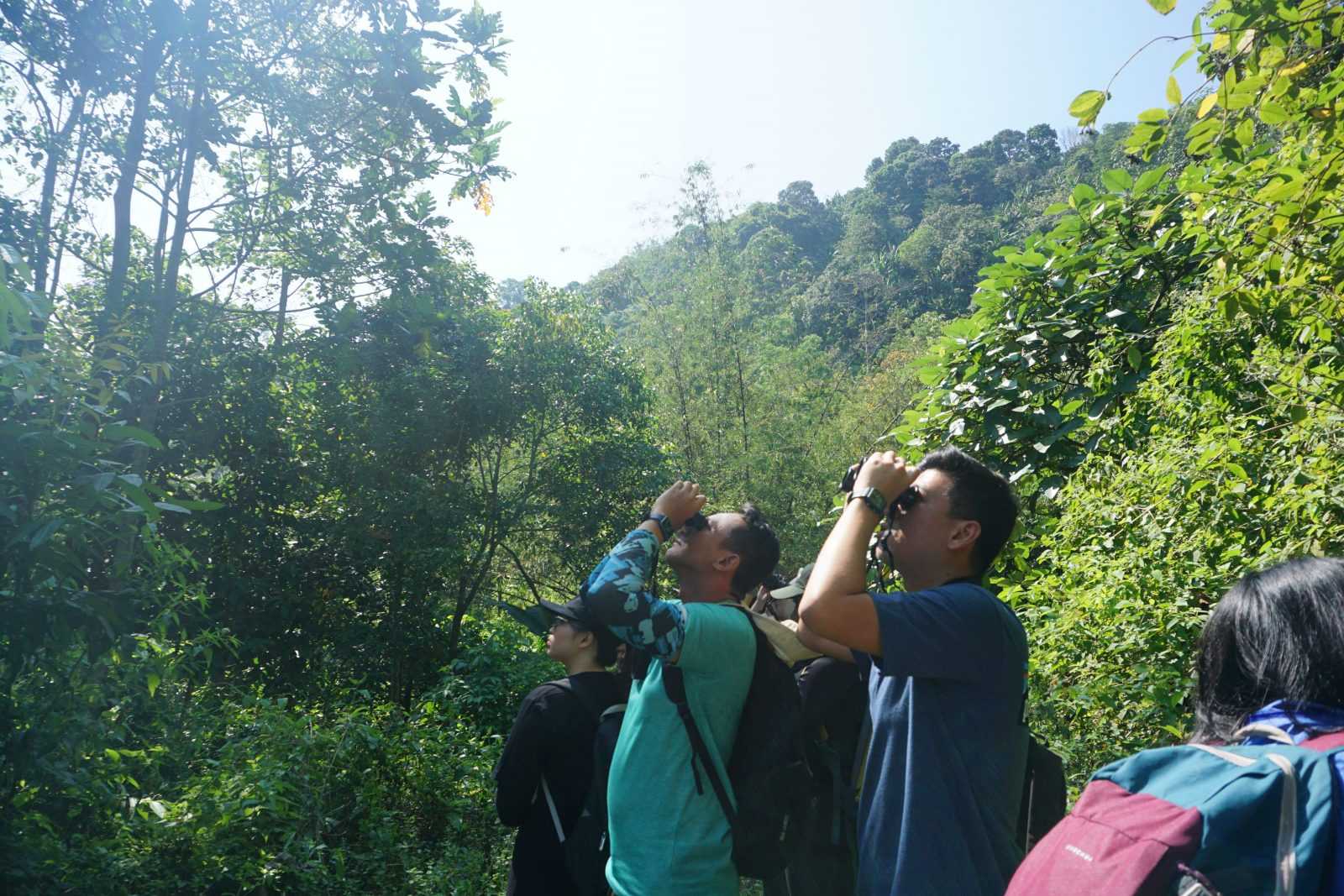 Peserta dibagi menjadi dua kelompok untuk memantau burung. | Foto: Dok. Burung Indonesia.