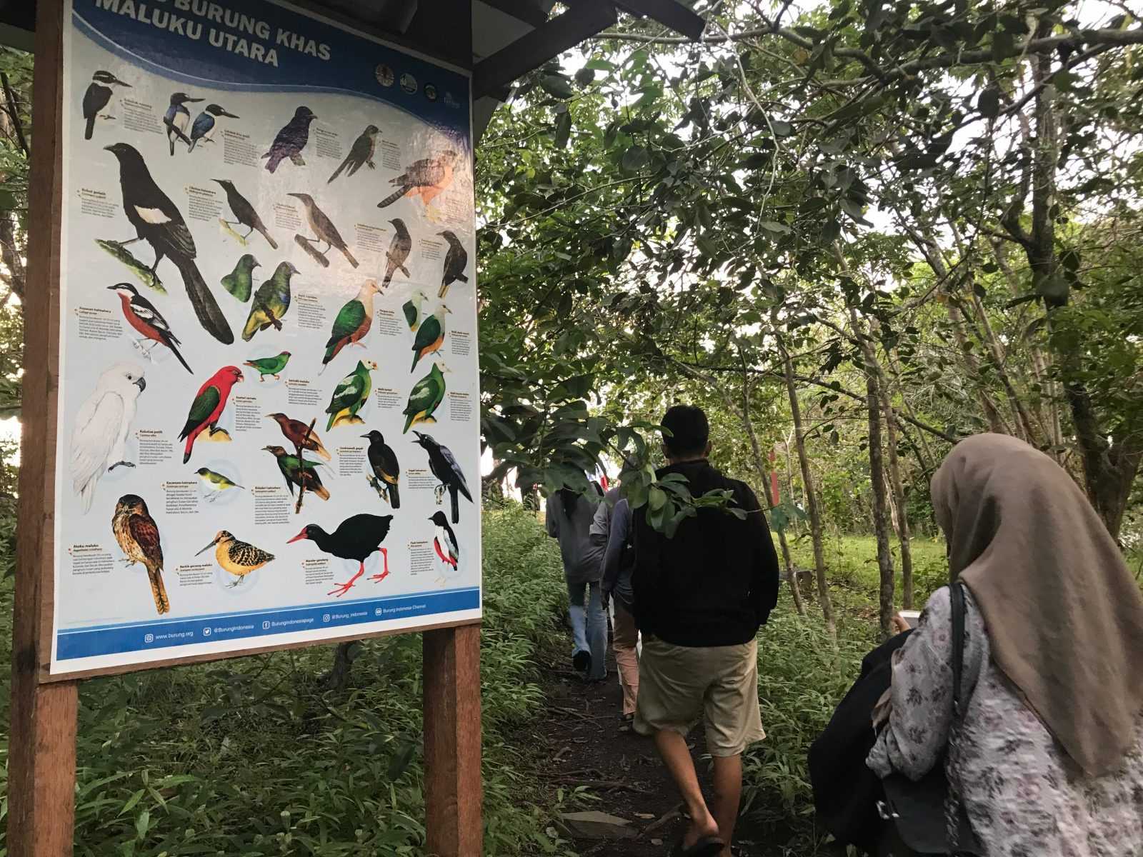 Poster sejumlah burung khas Maluku Utara yang terpajang di kawasan wisata alam Pulo Tareba, Ternate Barat. | Foto: Rajuan Jumat/Garda Animalia